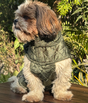 Pawgy Pets  Quilted Jacket (Olive Green) for Dogs & Cats