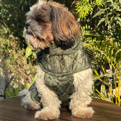 Olive Green Quilted Jacket | For Dogs & Cats | Pawgy Pets