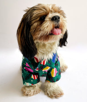Pawgy Pets Warm winter Shirt: Green for Dogs & Cats