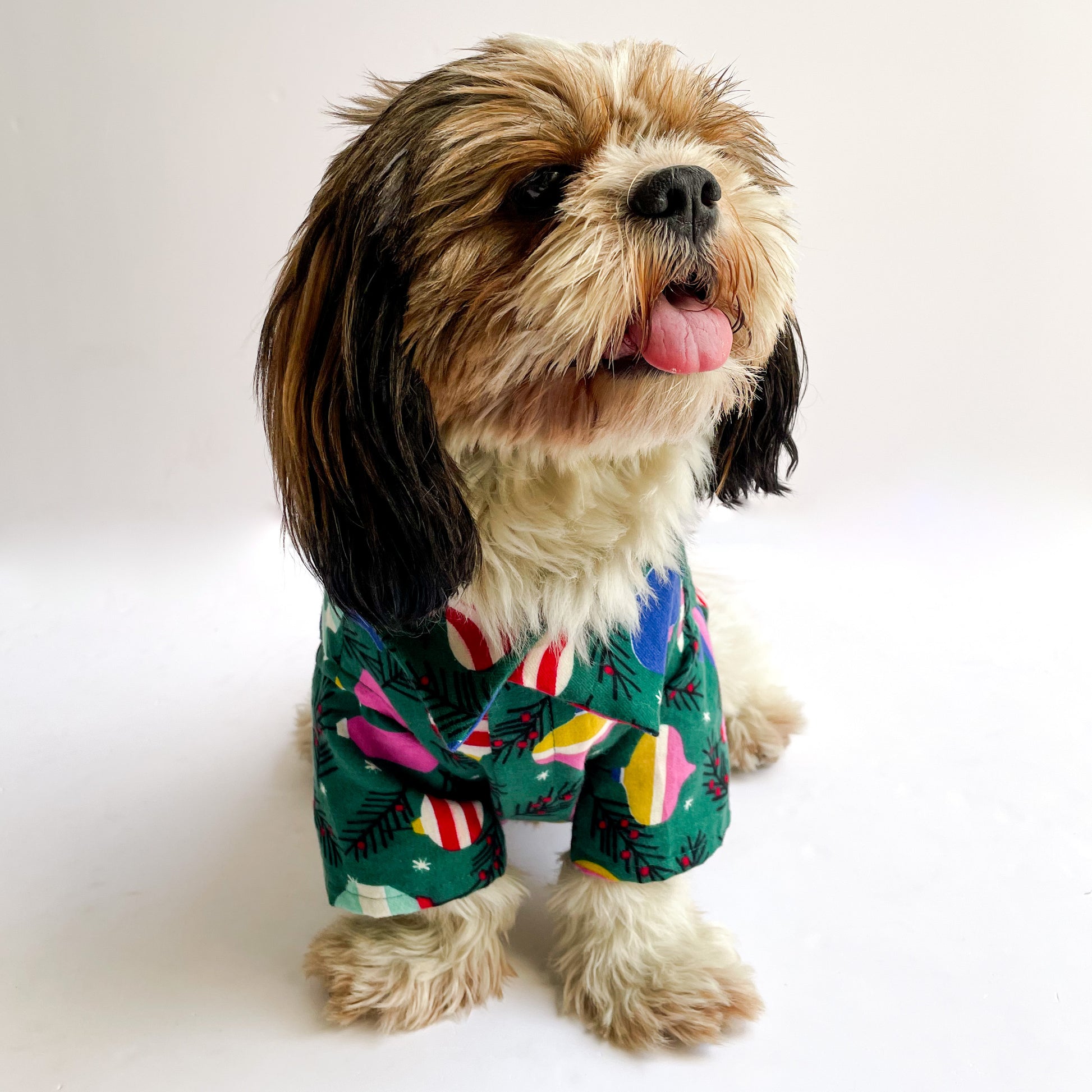 Pawgy Pets Warm winter Shirt: Green for Dogs & Cats