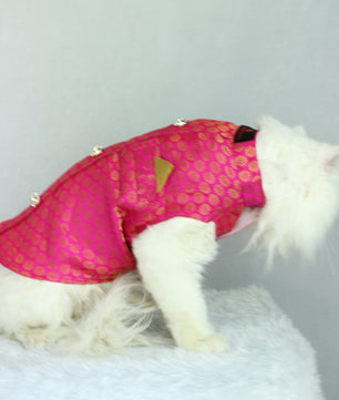 Pawgy Pets Sherwani Pink for Cats