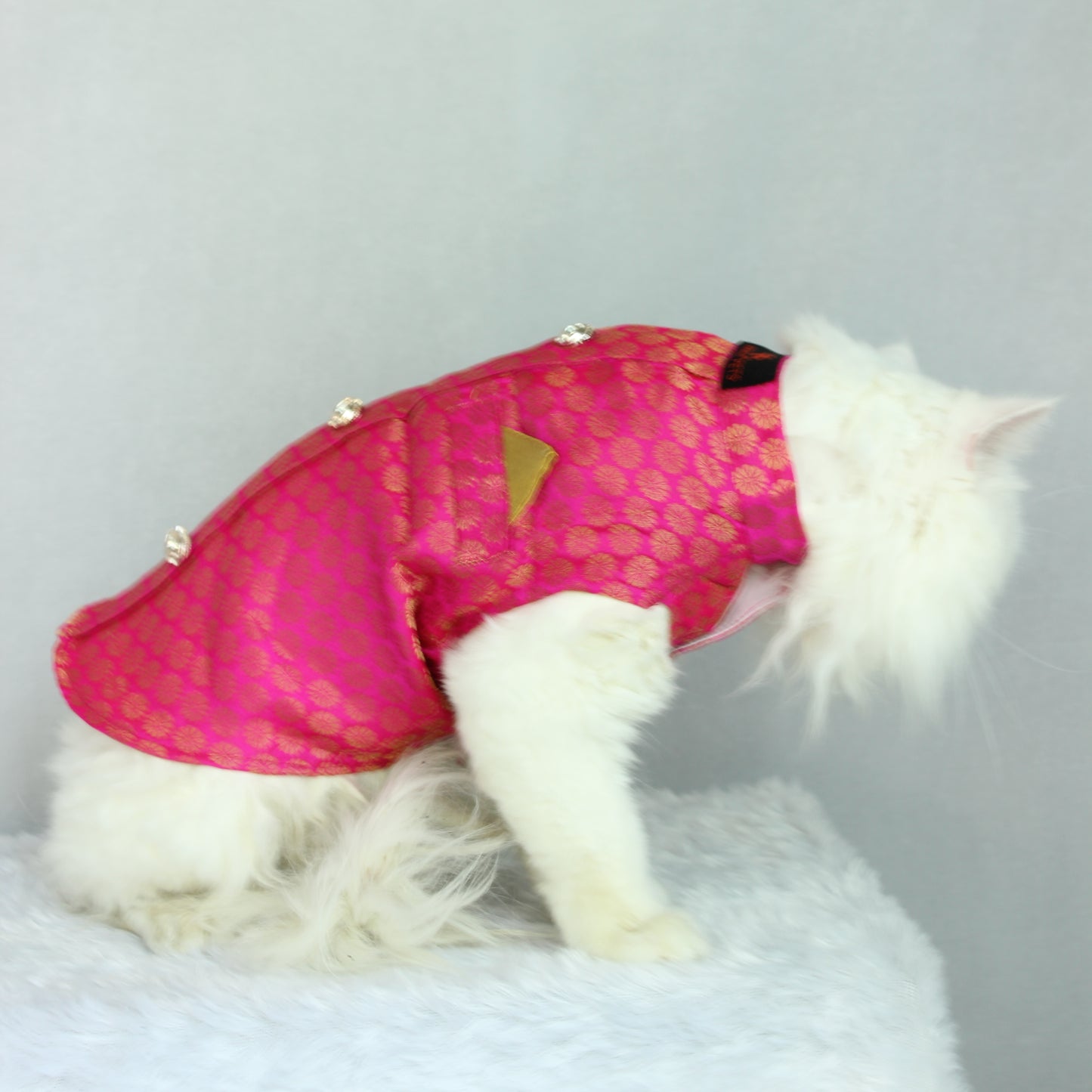Pawgy Pets Sherwani Pink for Cats
