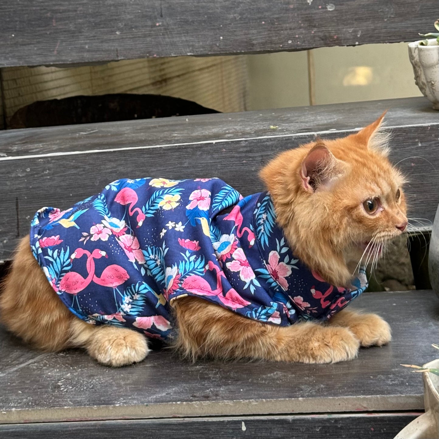 Pawgy Pets Flamingo Sando (Cat)