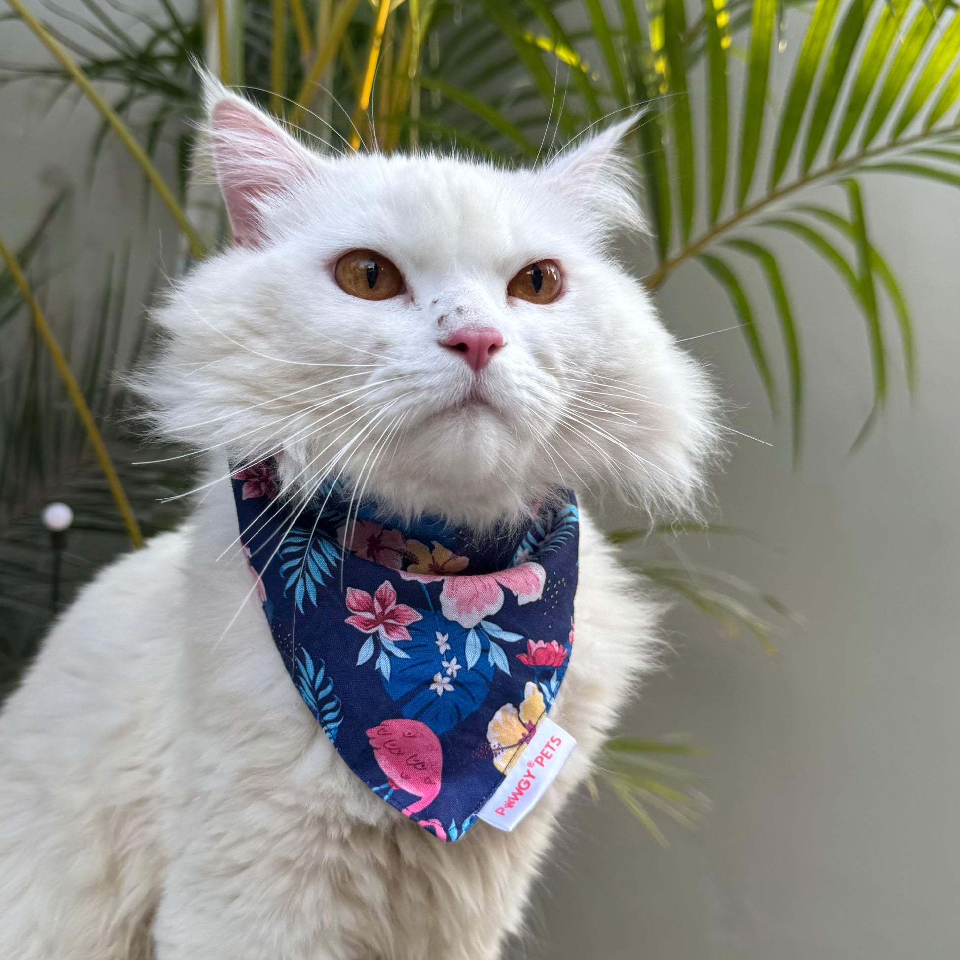 Pawgy Pets Casual Bandana: Flamingo Navy for Cats and Dogs