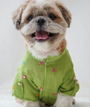 Pawgy Pets Festive Shirt Pista Green for Dogs