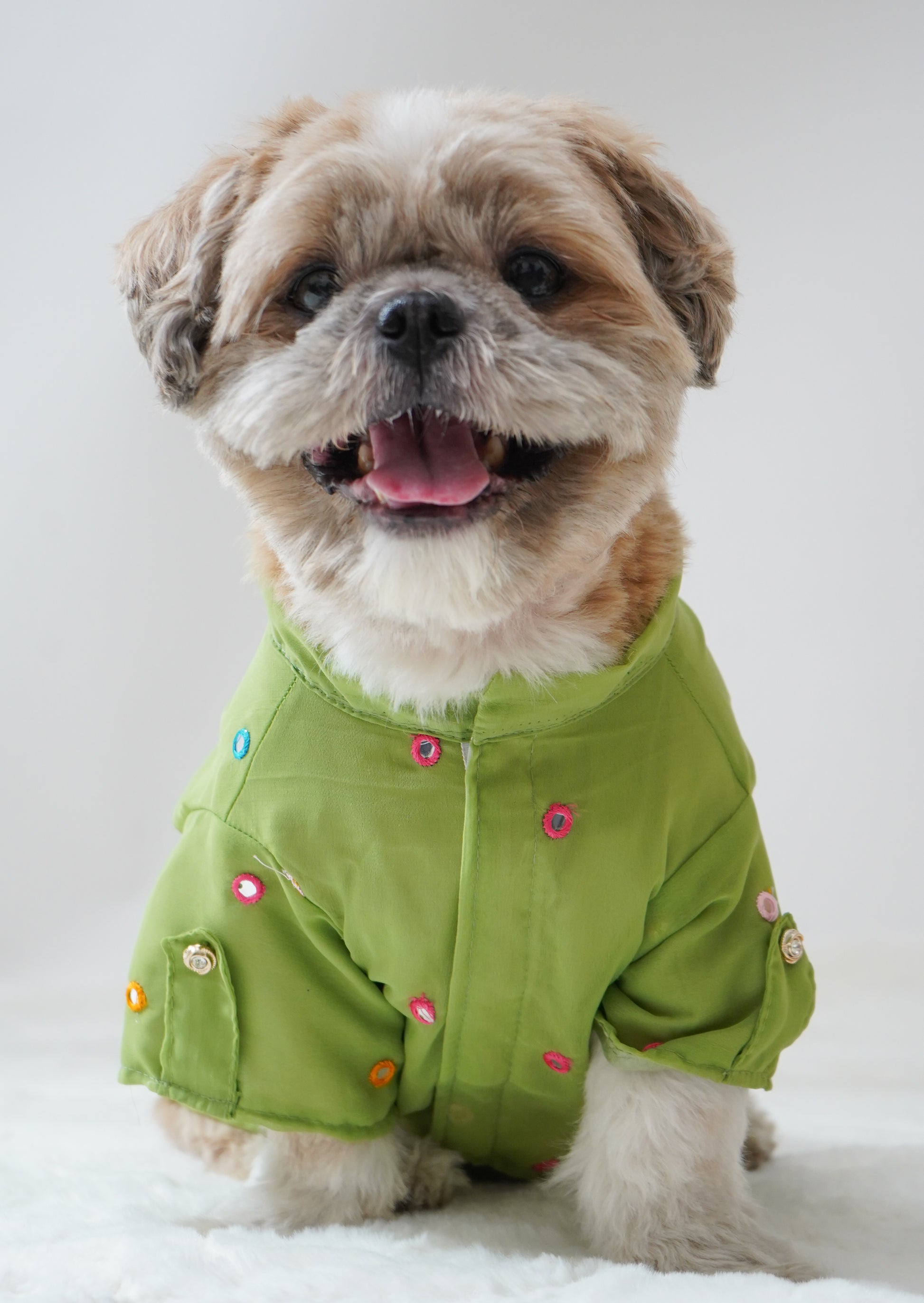 Pawgy Pets Festive Shirt Pista Green for Dogs - Main Image