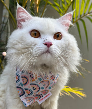 Pawgy Pets Casual Bandana: Rainbow off-white for Cats and Dogs