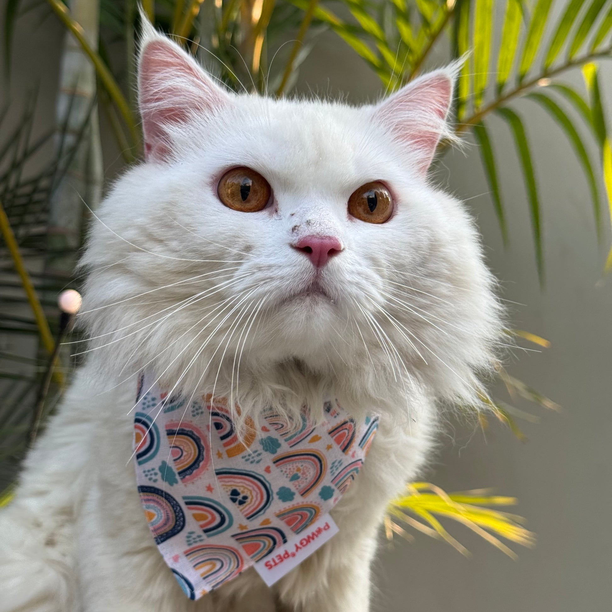 Pawgy Pets Casual Bandana: Rainbow off-white for Cats and Dogs