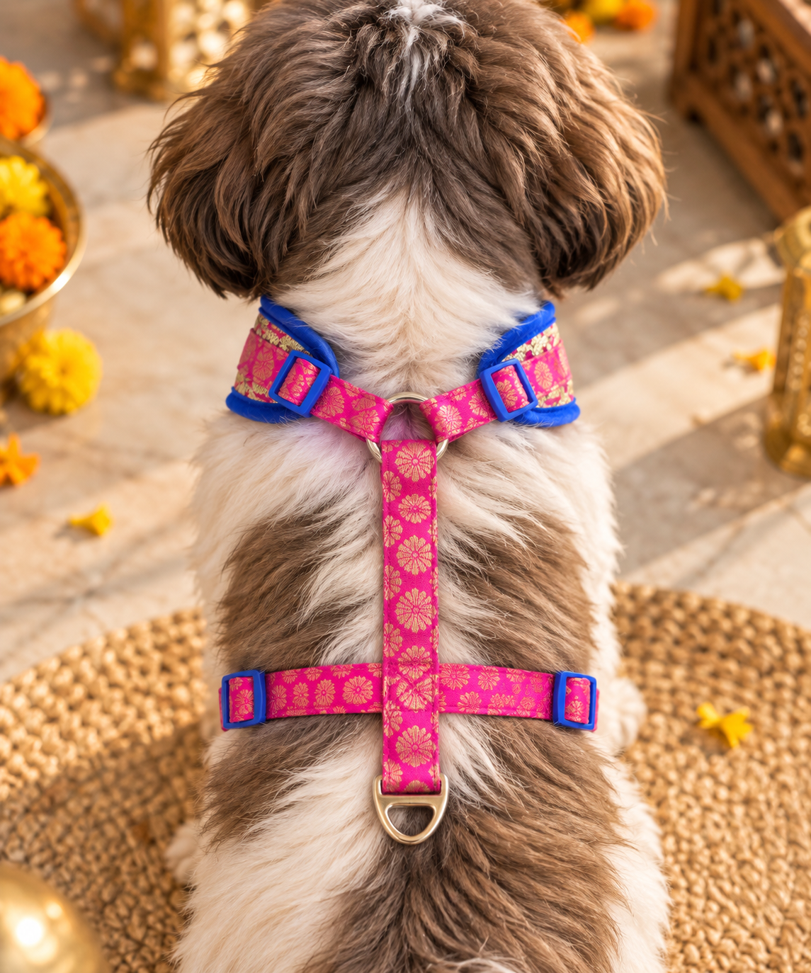 Pawgy Pets Celebration Harness & Leash for Dogs Hot Pink and Blue