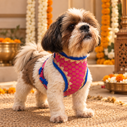 Pawgy Pets Celebration Harness & Leash for Dogs Hot Pink and Blue