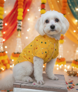 Pawgy Pets Festive Shirt Yellow for Dogs