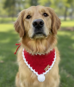 Pawgy Pets Crochet Bandana Red