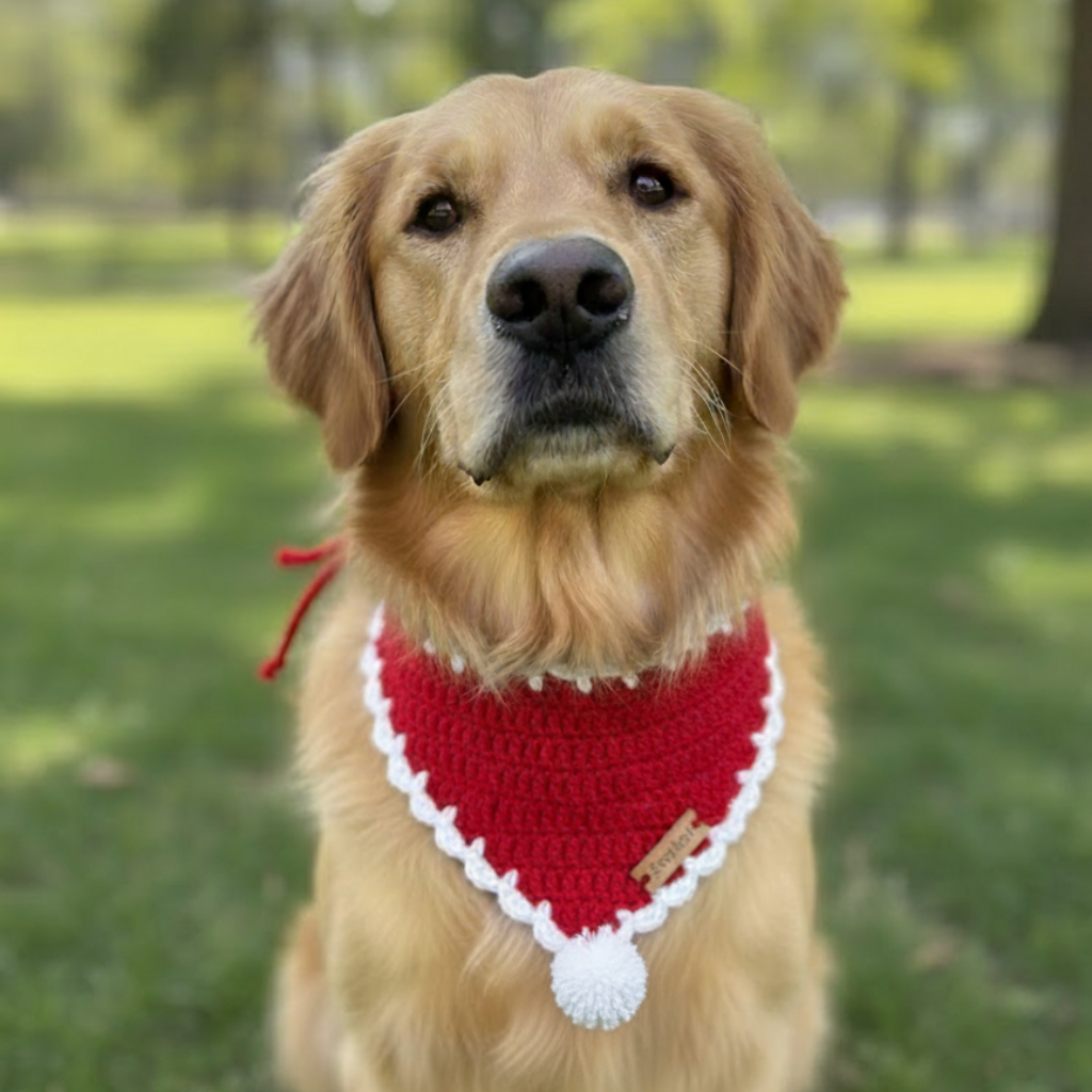 Red Crochet Bandana | For Dogs & Cats | Pawgy Pets