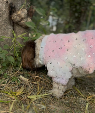 Pawgy Pets Fur sweater: Heart Pastel Rainbow for Dogs & Cats