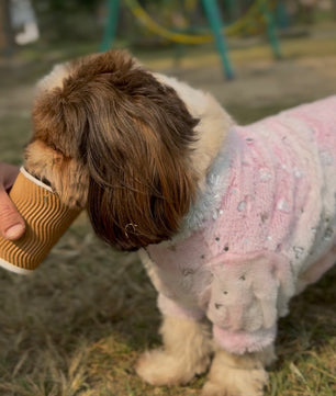 Pawgy Pets Fur sweater: Heart Pastel Rainbow for Dogs & Cats