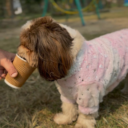 Heart Pastel Rainbow Fur Sweater | For Dogs & Cats | Pawgy Pets