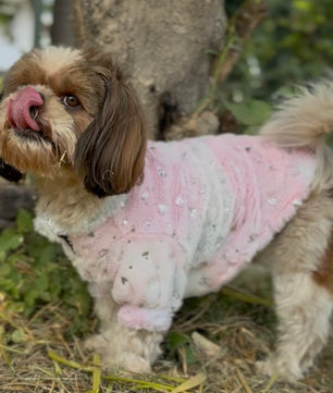 Pawgy Pets Fur sweater: Heart Pastel Rainbow for Dogs & Cats