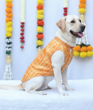 Pawgy Pets Tie & Dye kurta Yellow Orange for Dogs