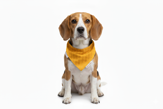 Festive Bandana (Free size)