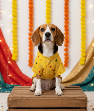 Pawgy Pets Festive Shirt Yellow for Dogs