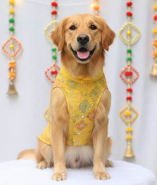 Noor Kurta for Men + Doggo Kurta