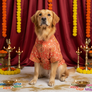 Peach Silk Kurta | For Dogs | Pawgy Pets
