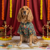 Multi Colour Silk Kurta | For Dogs | Pawgy Pets