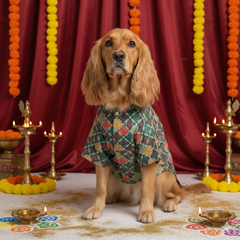 Pawgy Pets Silk Kurta: Multi for Dogs