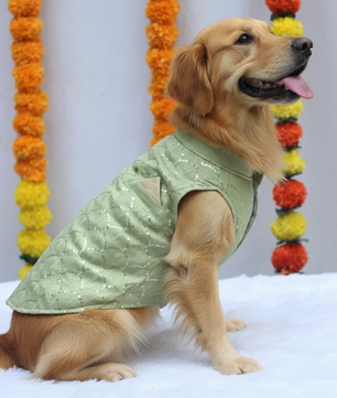 Pawgy Pets Pastel Green Shahi Kurta for Dogs