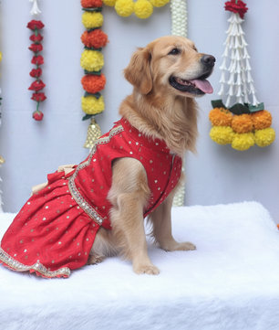 Pawgy Pets Shahi Lehenga- Dress Red for Dogs & Cats