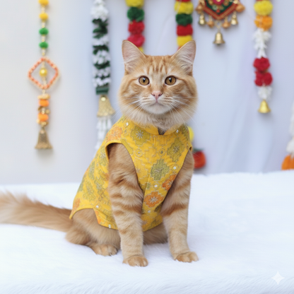 Patola Festive Shirt | For Cats | Pawgy Pets