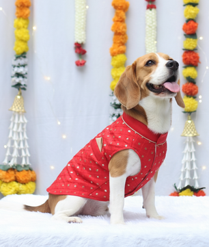 Pawgy Pets Red Shahi Kurta for Dogs
