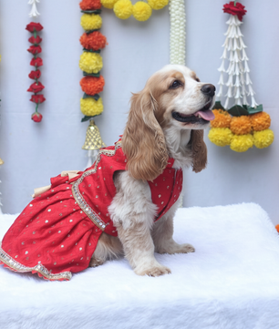 Pawgy Pets Shahi Lehenga- Dress Red for Dogs & Cats