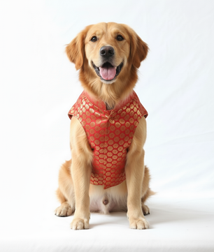 Pawgy Pets Sherwani Red for Dogs