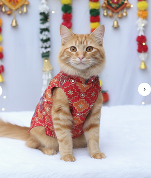 Pawgy Pets Festive Shirt Patola for Cats