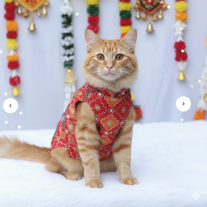 Patola Festive Shirt | For Cats | Pawgy Pets
