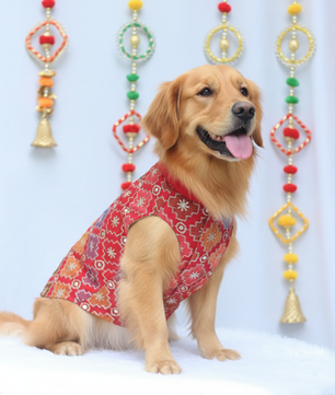 Pawgy Pets Festive Shirt Patola for Dogs