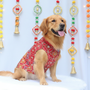Red Patola Festive Shirt | For Dogs | Pawgy Pets