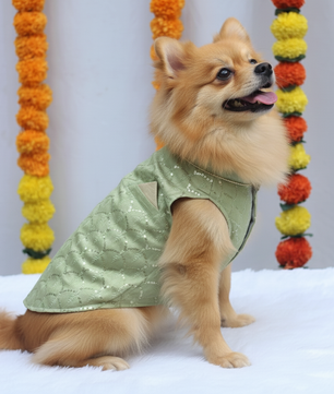 Pawgy Pets Pastel Green Shahi Kurta for Dogs