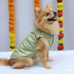 Pastel Green Shahi Kurta | For Dogs | Pawgy Pets