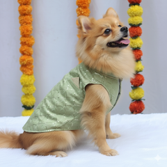 Pawgy Pets Pastel Green Shahi Kurta for Dogs