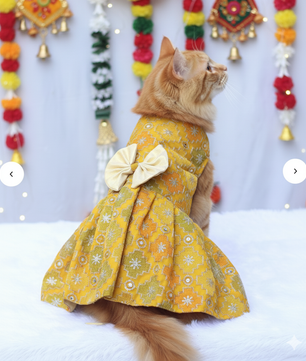 Pawgy Pets Festive Dress Patola for Cats
