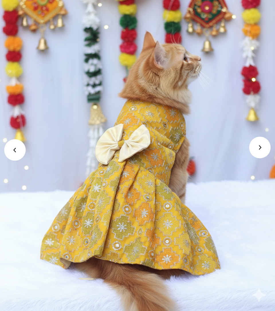 Pawgy Pets Festive Dress Patola for Cats