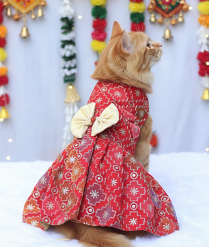 Pawgy Pets Festive Dress Patola for Cats