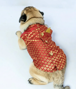 Pawgy Pets Sherwani Red for Dogs