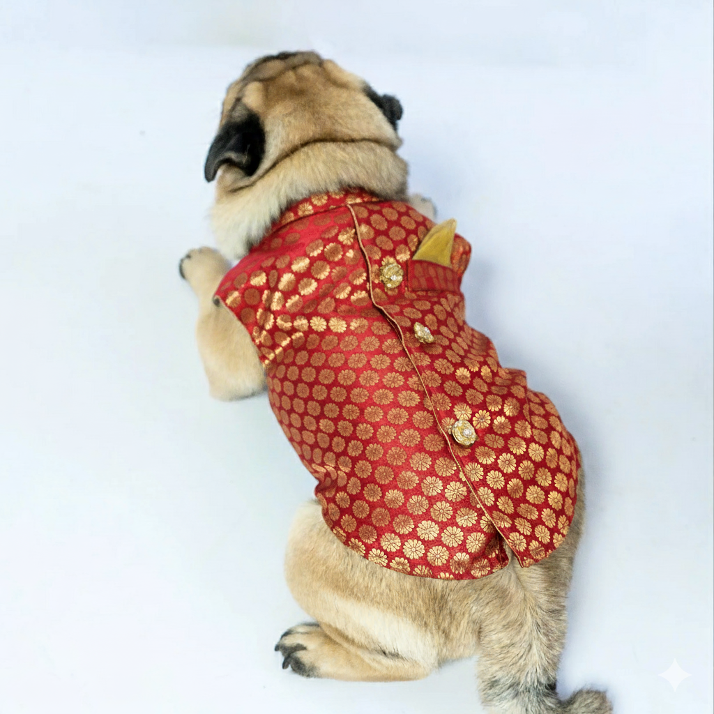 Pawgy Pets Sherwani Red for Dogs
