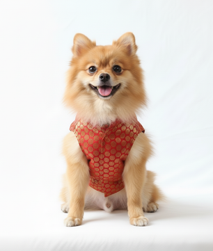 Pawgy Pets Sherwani Red for Dogs