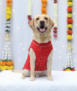 Pawgy Pets Red Shahi Kurta for Dogs