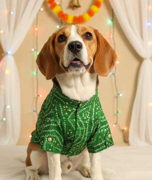 Pawgy Pets Green Bandani kurta for Dogs