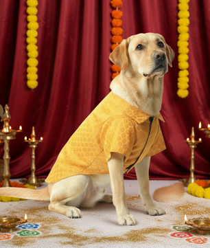 Pawgy Pets Occasion wear shirt Yellow for Dogs